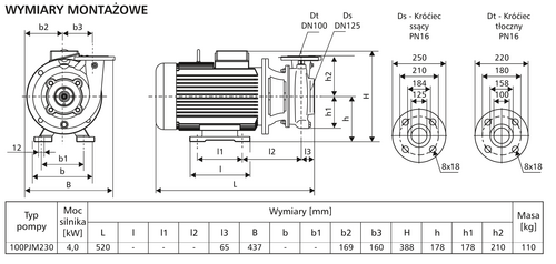 Pompa 100PJM230 4,0kW/1400 DMc4 5
