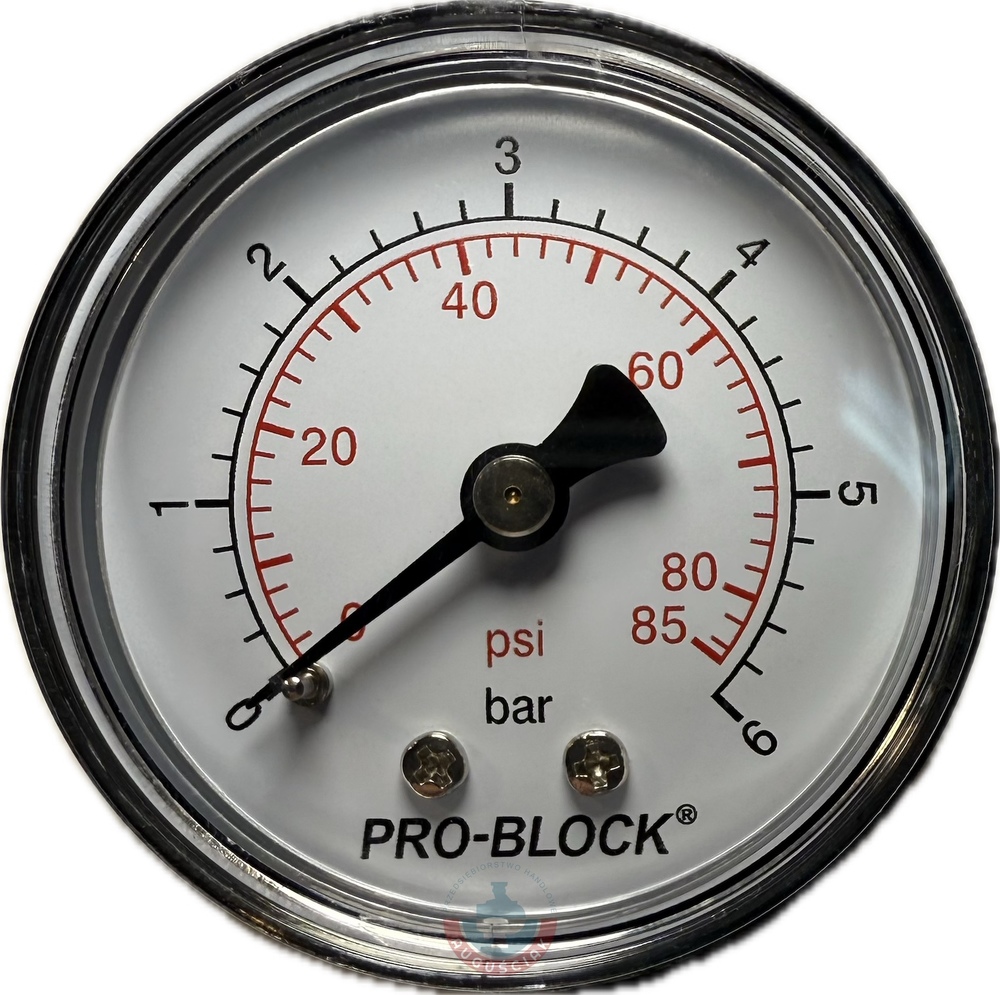 Manometr 6 bar GZ 1/4" wyjście tylne Pedrollo 1