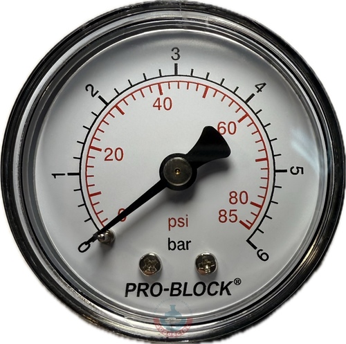 Manometr 6 bar GZ 1/4" wyjście tylne Pedrollo 1